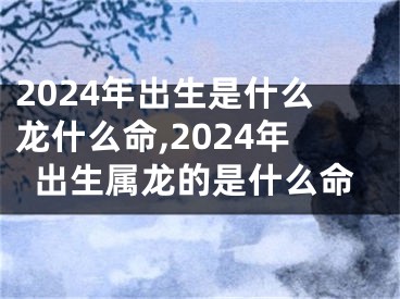 2024年出生是什么龙什么命,2024年出生属龙的是什么命