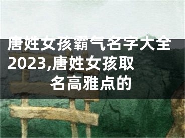 唐姓女孩霸气名字大全2023,唐姓女孩取名高雅点的