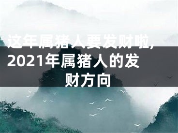 这年属猪人要发财啦,2021年属猪人的发财方向