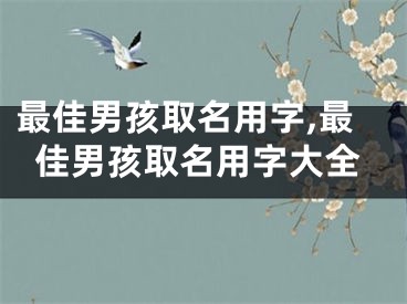 最佳男孩取名用字,最佳男孩取名用字大全