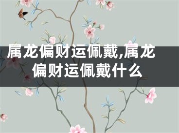 属龙偏财运佩戴,属龙偏财运佩戴什么