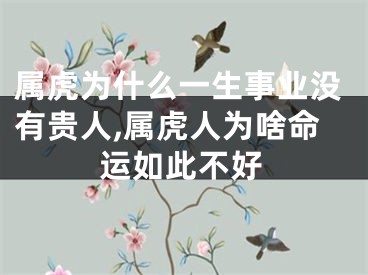 属虎为什么一生事业没有贵人,属虎人为啥命运如此不好