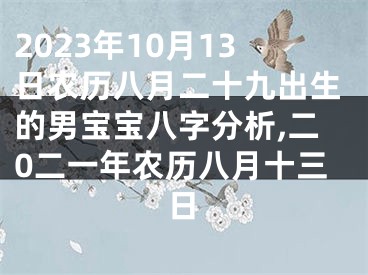 2023年10月13日农历八月二十九出生的男宝宝八字分析,二0二一年农历八月十三日