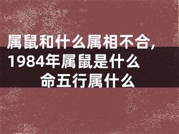 属鼠和什么属相不合,1984年属鼠是什么命五行属什么