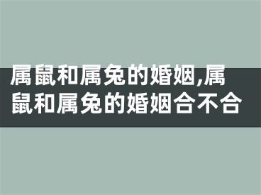 属鼠和属兔的婚姻,属鼠和属兔的婚姻合不合