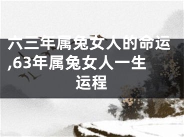 六三年属兔女人的命运,63年属兔女人一生运程