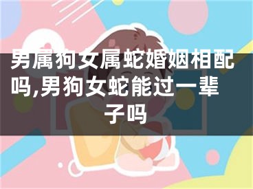 男属狗女属蛇婚姻相配吗,男狗女蛇能过一辈子吗