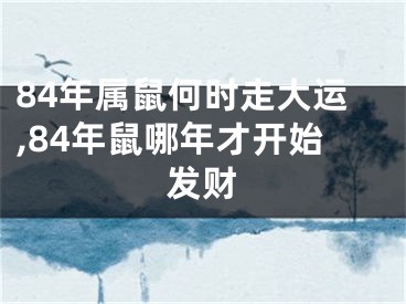 84年属鼠何时走大运,84年鼠哪年才开始发财