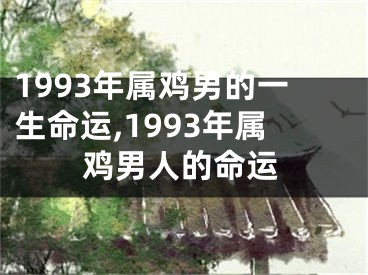 1993年属鸡男的一生命运,1993年属鸡男人的命运