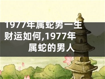 1977年属蛇男一生财运如何,1977年属蛇的男人