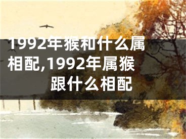 1992年猴和什么属相配,1992年属猴跟什么相配