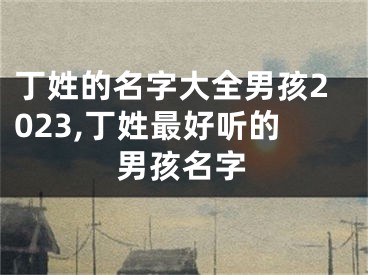 丁姓的名字大全男孩2023,丁姓最好听的男孩名字