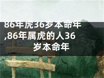 86年虎36岁本命年,86年属虎的人36岁本命年