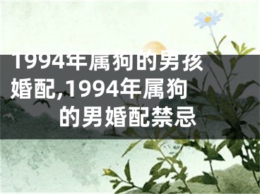 1994年属狗的男孩婚配,1994年属狗的男婚配禁忌