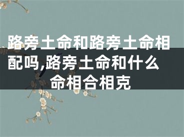 路旁土命和路旁土命相配吗,路旁土命和什么命相合相克