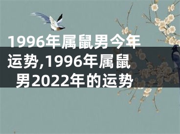 1996年属鼠男今年运势,1996年属鼠男2022年的运势