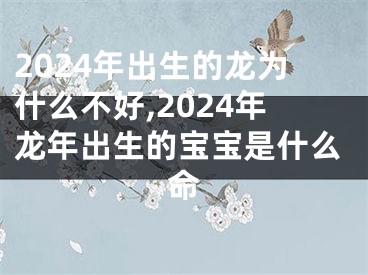 2024年出生的龙为什么不好,2024年龙年出生的宝宝是什么命