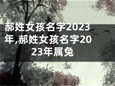 郝姓女孩名字2023年,郝姓女孩名字2023年属兔