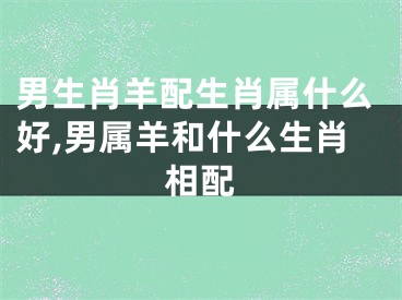 男生肖羊配生肖属什么好,男属羊和什么生肖相配