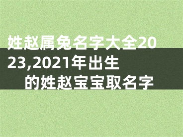 姓赵属兔名字大全2023,2021年出生的姓赵宝宝取名字