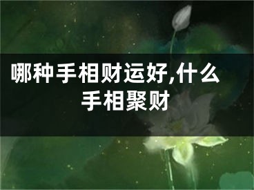 哪种手相财运好,什么手相聚财