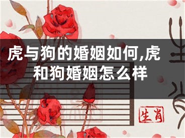 虎与狗的婚姻如何,虎和狗婚姻怎么样