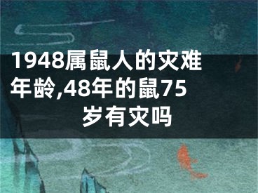 1948属鼠人的灾难年龄,48年的鼠75岁有灾吗