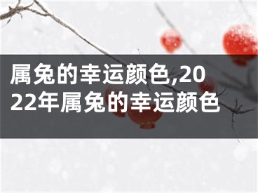 属兔的幸运颜色,2022年属兔的幸运颜色