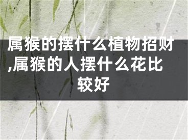 属猴的摆什么植物招财,属猴的人摆什么花比较好