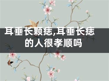 耳垂长颗痣,耳垂长痣的人很孝顺吗