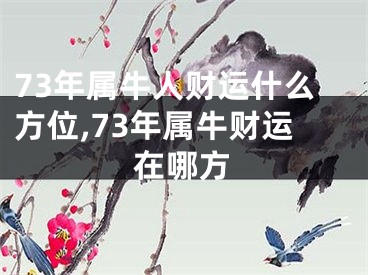 73年属牛人财运什么方位,73年属牛财运在哪方