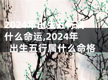 2024年出生五行属什么命运,2024年出生五行属什么命格