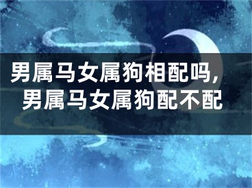 男属马女属狗相配吗,男属马女属狗配不配