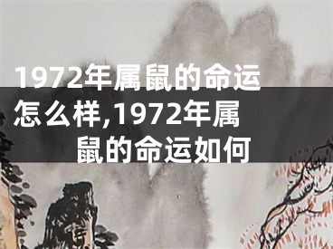 1972年属鼠的命运怎么样,1972年属鼠的命运如何