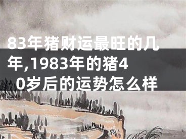 83年猪财运最旺的几年,1983年的猪40岁后的运势怎么样