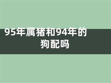 95年属猪和94年的狗配吗