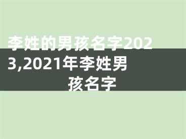 李姓的男孩名字2023,2021年李姓男孩名字