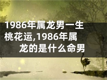 1986年属龙男一生桃花运,1986年属龙的是什么命男