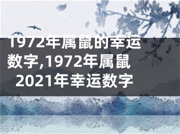 1972年属鼠的幸运数字,1972年属鼠2021年幸运数字