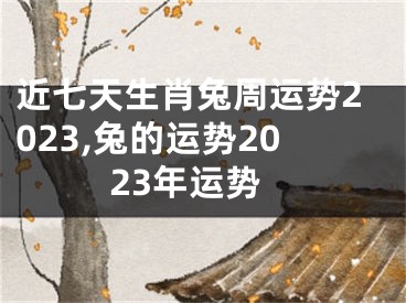 近七天生肖兔周运势2023,兔的运势2023年运势