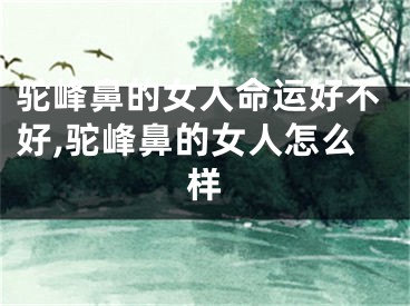 驼峰鼻的女人命运好不好,驼峰鼻的女人怎么样