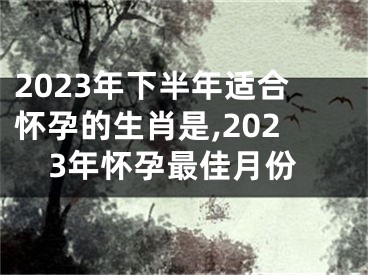 2023年下半年适合怀孕的生肖是,2023年怀孕最佳月份