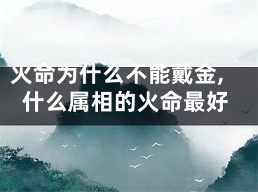 火命为什么不能戴金,什么属相的火命最好