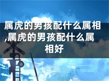 属虎的男孩配什么属相,属虎的男孩配什么属相好