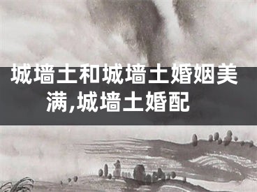 城墙土和城墙土婚姻美满,城墙土婚配