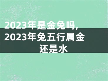 2023年是金兔吗,2023年兔五行属金还是水