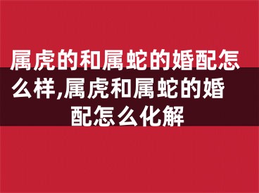 属虎的和属蛇的婚配怎么样,属虎和属蛇的婚配怎么化解