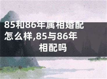 85和86年属相婚配怎么样,85与86年相配吗