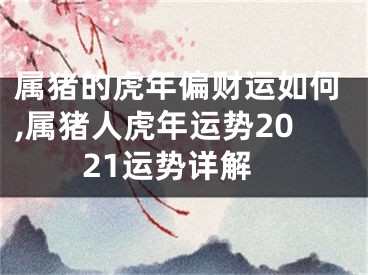 属猪的虎年偏财运如何,属猪人虎年运势2021运势详解