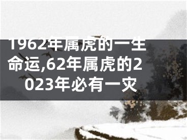 1962年属虎的一生命运,62年属虎的2023年必有一灾